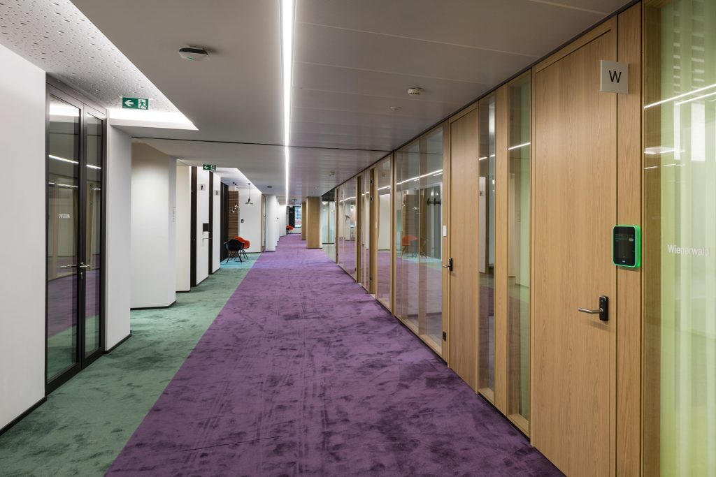HEIMBAU Eisenhof königlarch architekten TS2Flr TS2Flr Eiche Flush Türbändern, Sonderausführung Schattenfugen Alois Scheicher GmbH (Scheicher.Wand)