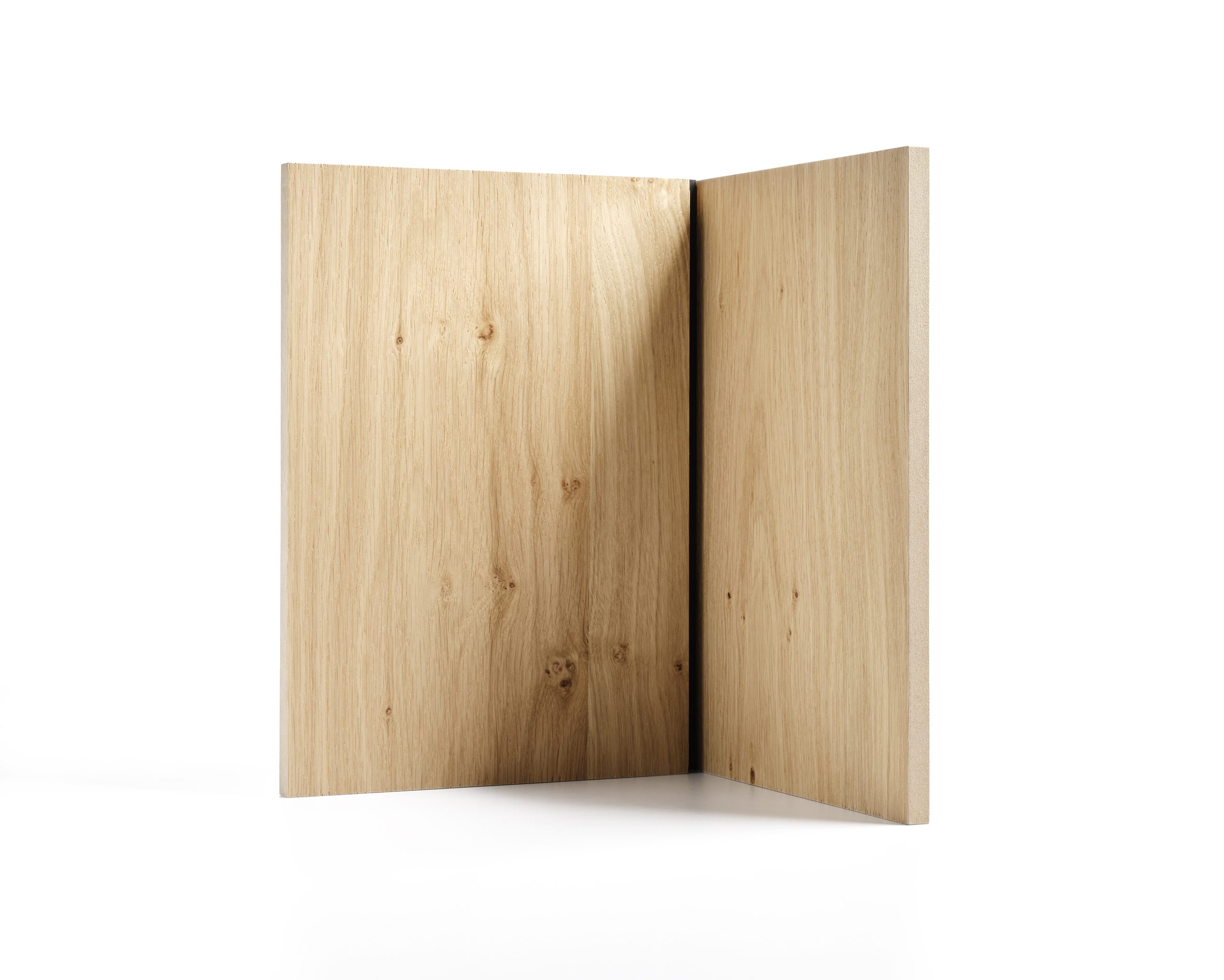 Eiche_Ast_Natur_G07
